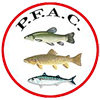 Pembs Federation Of Angling Coaches