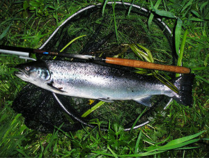 Recent Fishing Reports
