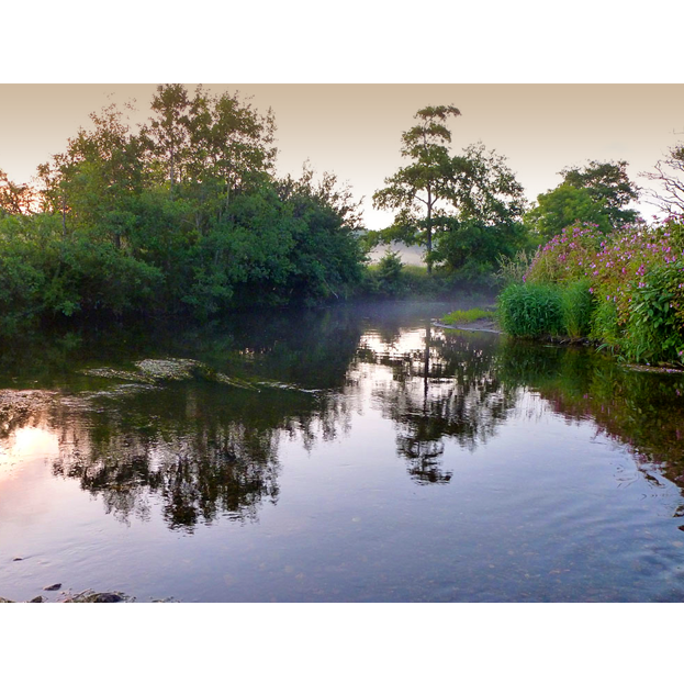Autumn 2012 Fishing Report