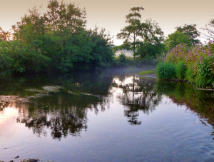 Autumn 2012 Fishing Report