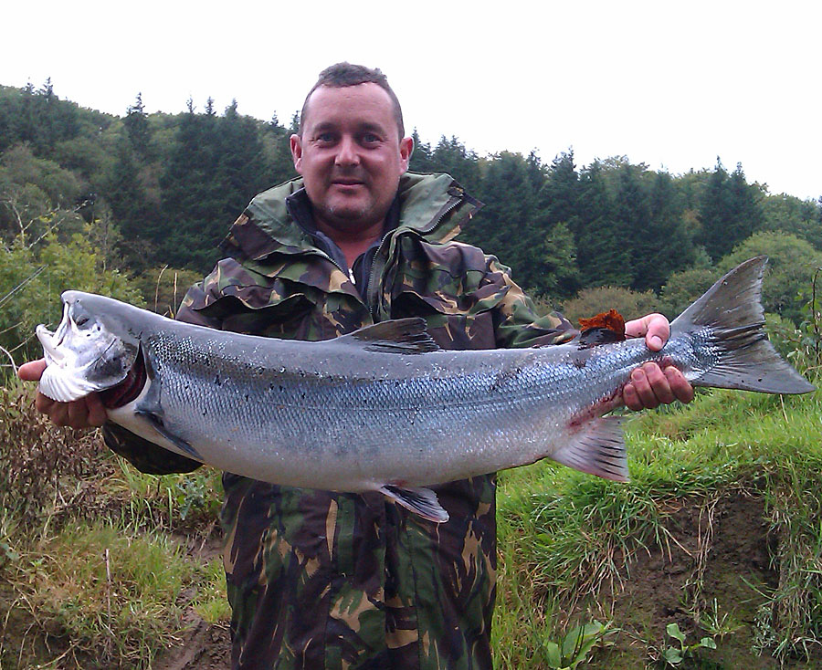 16lb 8oz Salmon