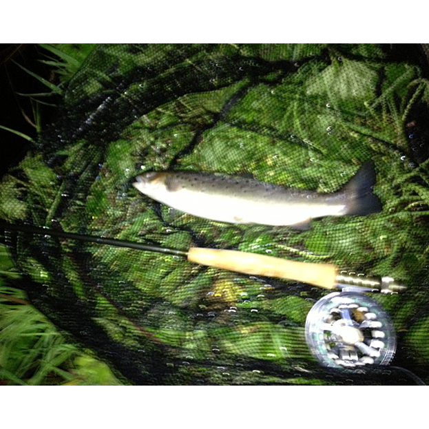 First Time Fly At Night Sewin