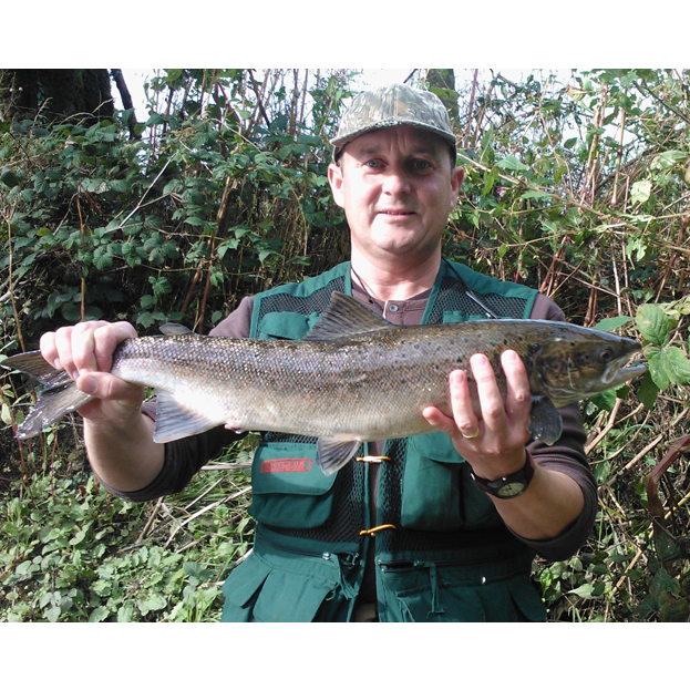 Late Season Catches
