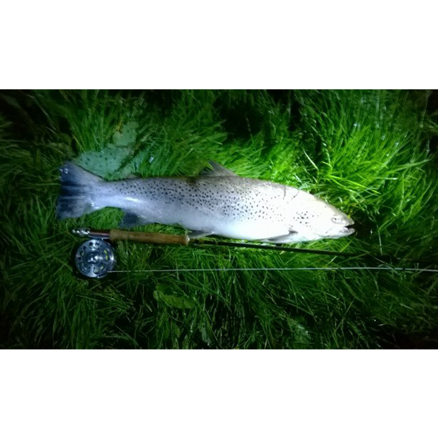 Another Huge Sewin