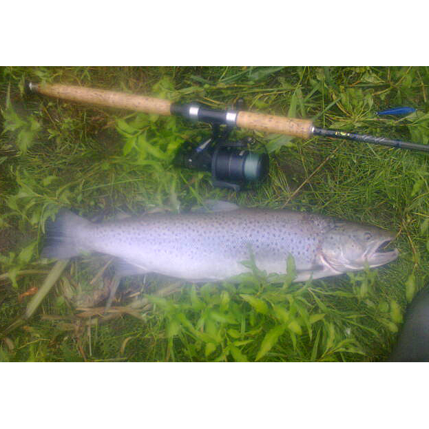 And The Sewin Just Keep Coming This Season!