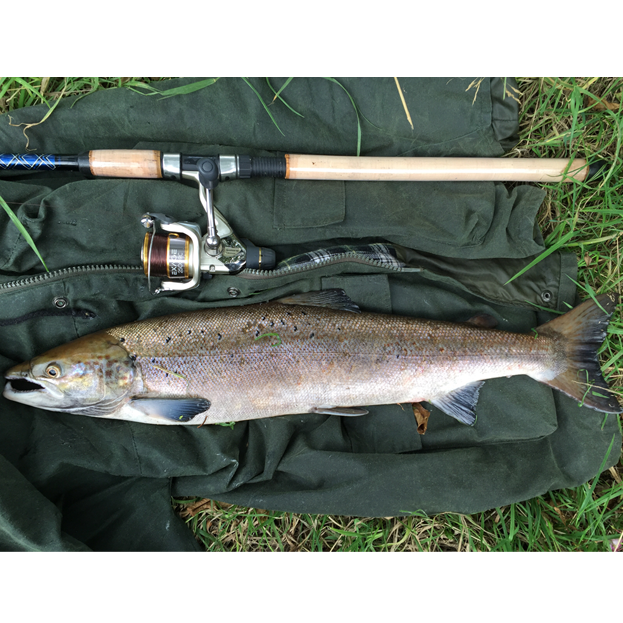 e-Petition: Proposal to Postpone the Restrictions on Fishing in Welsh Rivers