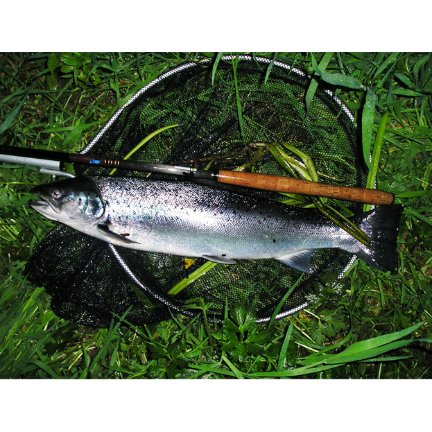 2016 Catch Reports