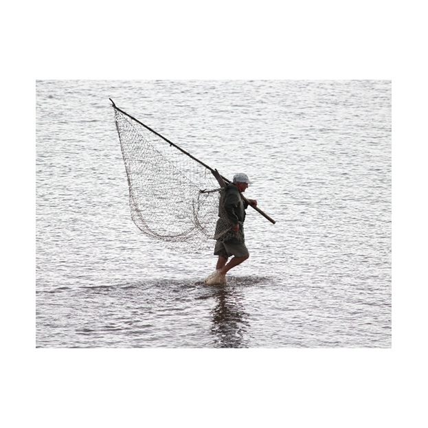 Salmon And Sea Trout Catch Controls