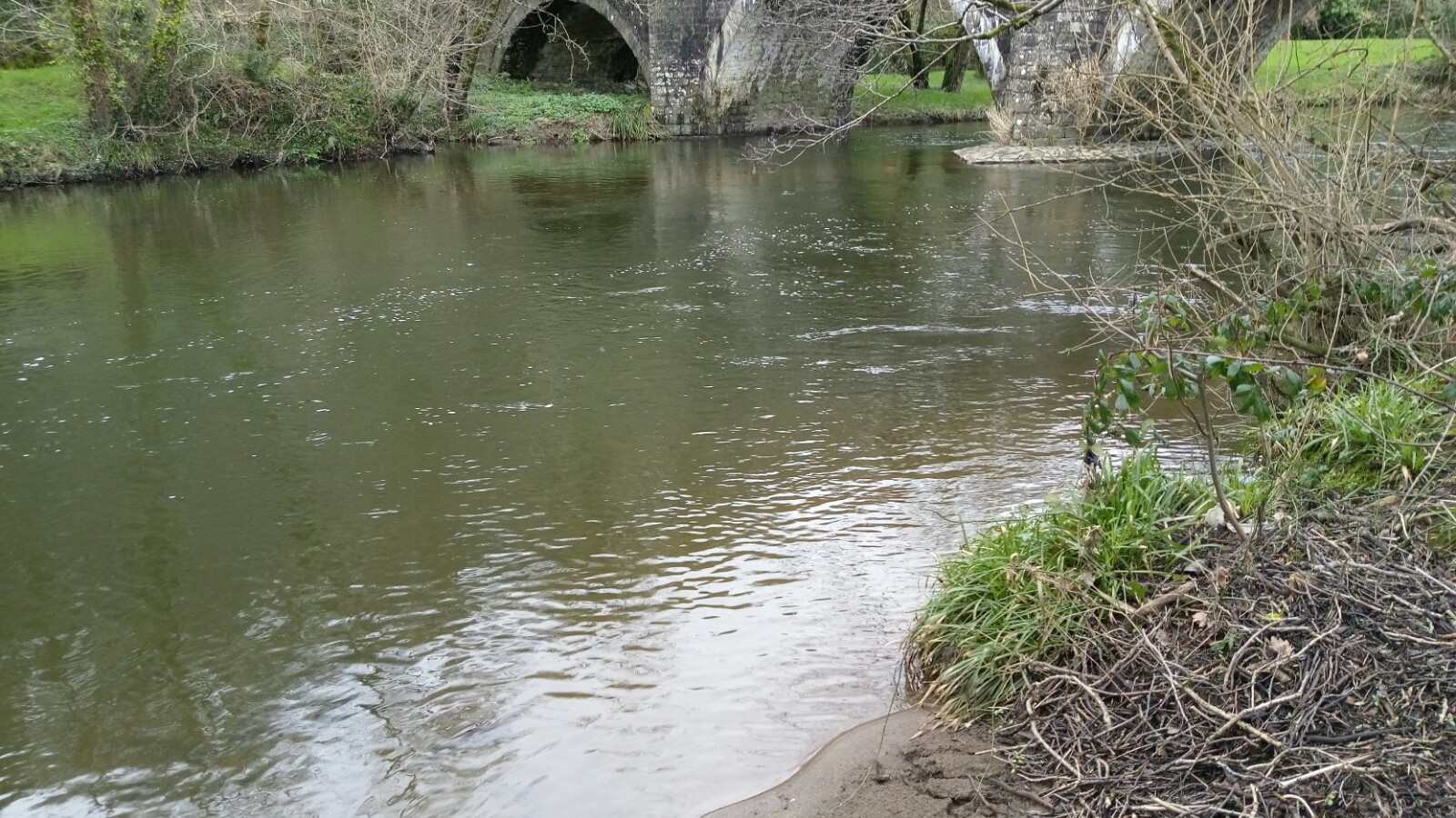 New Beat on the Eastern Cleddau for 2023