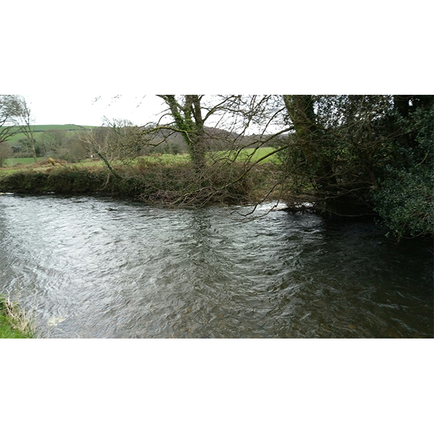 New Beat on the Eastern Cleddau for 2019