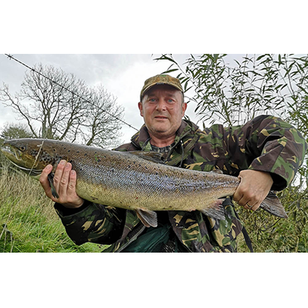 Salmon Landed Around 12lb