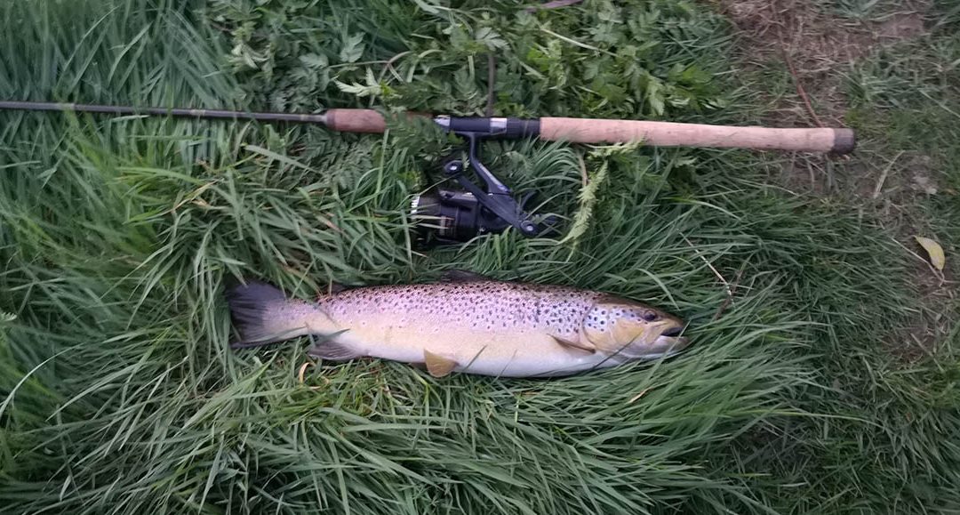 A cracking brownie landed